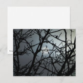 分岐ノテ空白のカード2 ポストカード (正面/裏面)