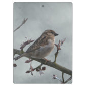 分岐上のスパロー クリップボード (裏面)