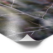 分岐抽象芸術写真 フォトプリント            (角)