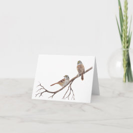 分岐注記カードのスパーロー ノートカード