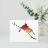 分岐深紅色 ポストカード (スタンド正面)