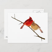 分岐深紅色 ポストカード (正面/裏面)