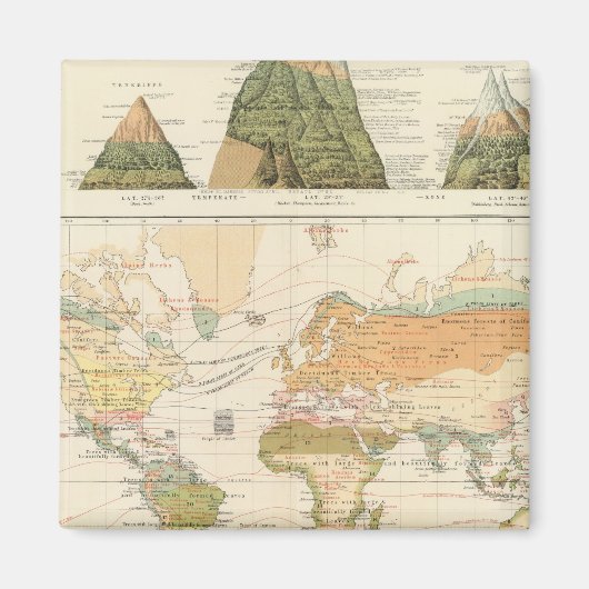 分布植生 マグネット (正面)