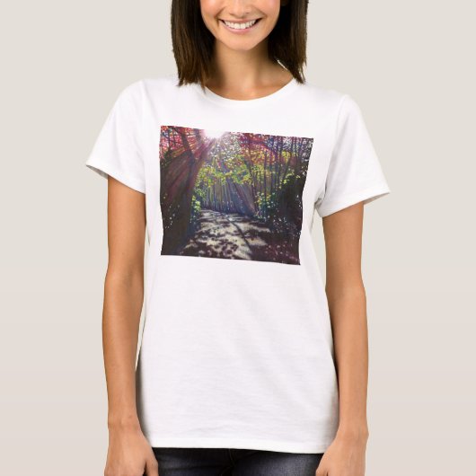 分散させたライト2013年 Tシャツ (正面)