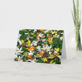 分散させた葉 シーズンカード