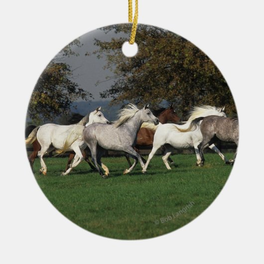 分野で走っているアラビア人 セラミックオーナメント (正面)