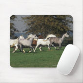 分野で走っているアラビア人 マウスパッド (マウス)