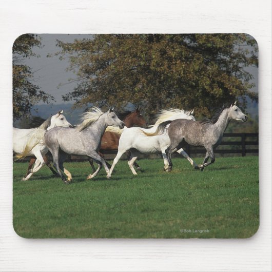 分野で走っているアラビア人 マウスパッド (正面)