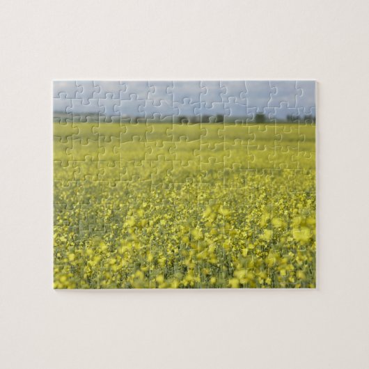 分野で開花するCanola ジグソーパズル (横)