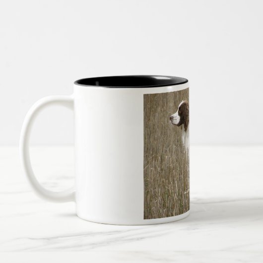 分野によって繁殖させる英国のスプリンガースパニエルを愛して下さいか。 ツートーンマグカップ (左)