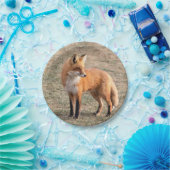 分野のアカギツネ ペーパープレート (パーティー)