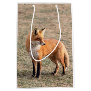 分野のアカギツネ ミディアムペーパーバッグ