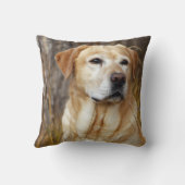 分野のイエロー・ラブラドール・レトリーバー クッション (裏面)