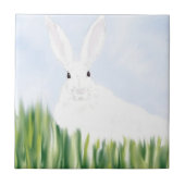 分野のウサギ タイル (正面)