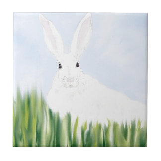 分野のウサギ タイル
