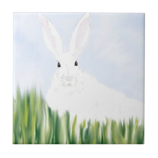 分野のウサギ タイル (正面)