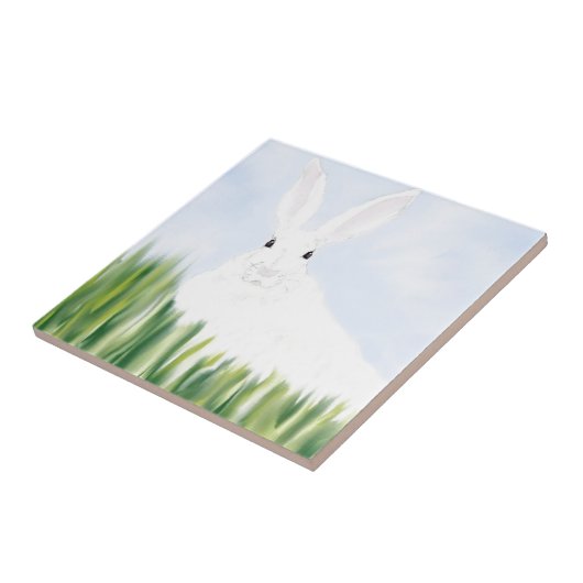 分野のウサギ タイル (側面)