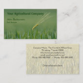 分野のオオムギの単独耳 名刺 (正面/裏面)