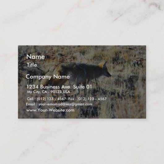 分野のキツネのコヨーテ野生のAnilmal 名刺 (正面)