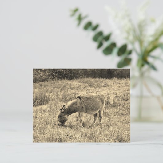 分野のセピア色の調子のろば ポストカード (スタンド正面)