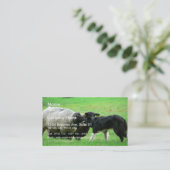 分野のヒツジそして牧羊犬 名刺 (スタンド正面)