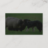 分野のヒツジそして牧羊犬 名刺 (裏面)