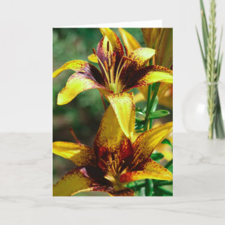 分野のユリ カード