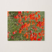 分野の共通のケシの花 ジグソーパズル (横)