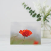 分野の共通のケシの花 ポストカード (スタンド正面)