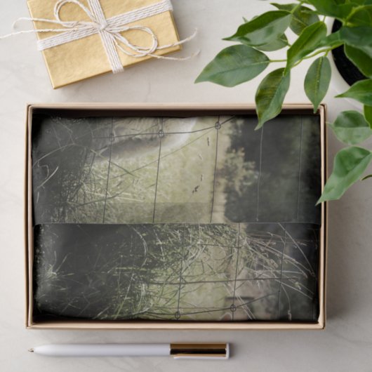 分野の塀の後ろの小さく白い子ヒツジ 薄葉紙 (ギフト)