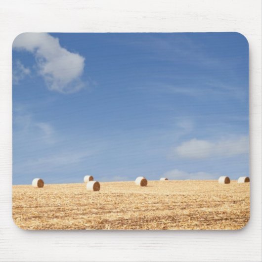 分野の干し草ベール マウスパッド (正面)