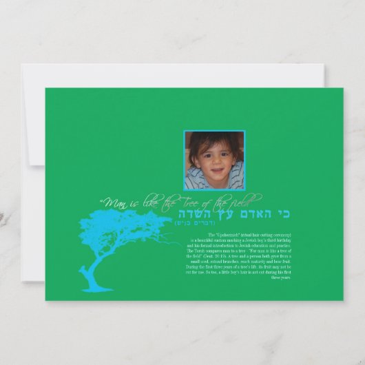 分野の招待状の木 招待状 (裏面)