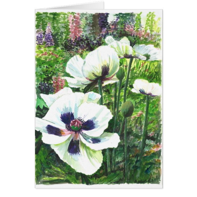 分野の白いケシの花 (正面)