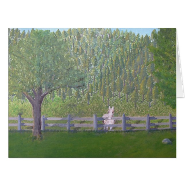 分野の白馬 (正面横)