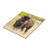 分野の野生のバッファロー タイル (側面)