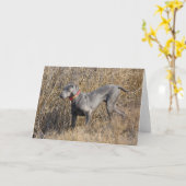 分野の青いWeimaraner カード (黄色い花)