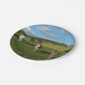 分野の3頭のろば ペーパープレート (アングル)