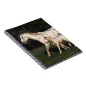 分野のAppaloosaのロバそして子馬 ノートブック (右側)