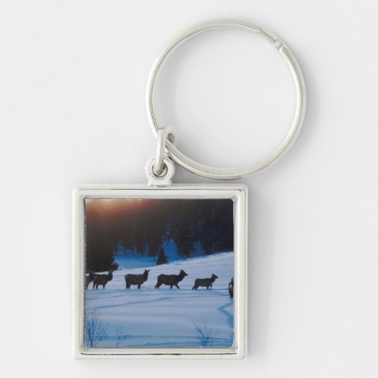 分野を通したオオシカの群れの歩く キーホルダー (正面)