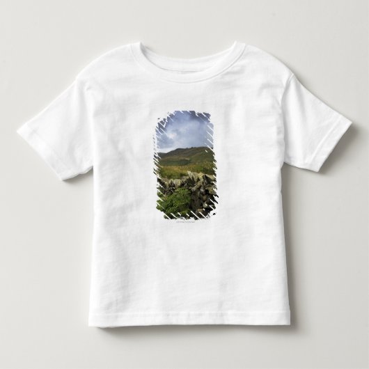 分野を通した石造りの塀 トドラーTシャツ (正面)