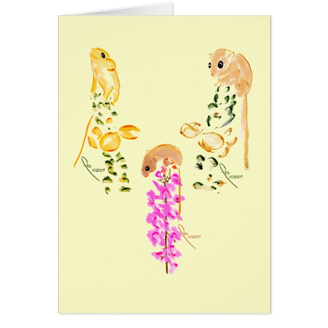 分野ネズミの遊ぶこと (正面)