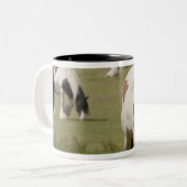 分野、ノーサンバーランドのClydesdaleの馬、 ツートーンマグカップ (正面左)