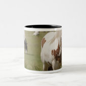 分野、ノーサンバーランドのClydesdaleの馬、 ツートーンマグカップ (中央)