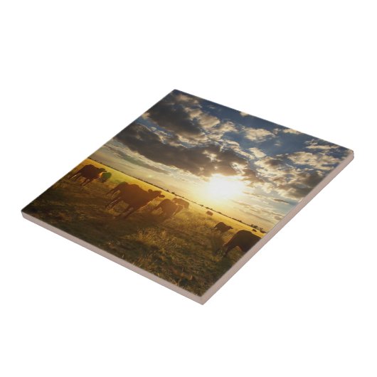 分野、日没の牛 タイル (側面)