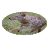 分野、Cadesの入江のコヨーテ カッティングボード (角)