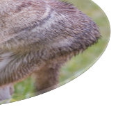 分野、Cadesの入江のコヨーテ カッティングボード (角)