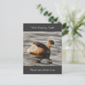 分離と分離された人間関係カード ポストカード (スタンド正面)