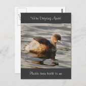 分離と分離された人間関係カード ポストカード (正面/裏面)