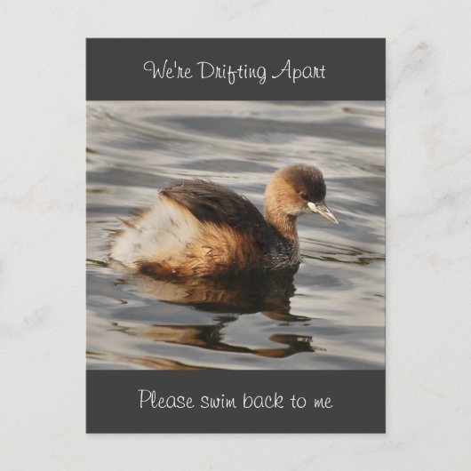 分離と分離された人間関係カード ポストカード (正面)