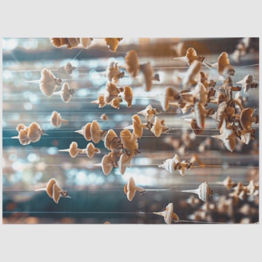 分離懸濁超現実浮遊キノコ 薄葉紙 (正面)